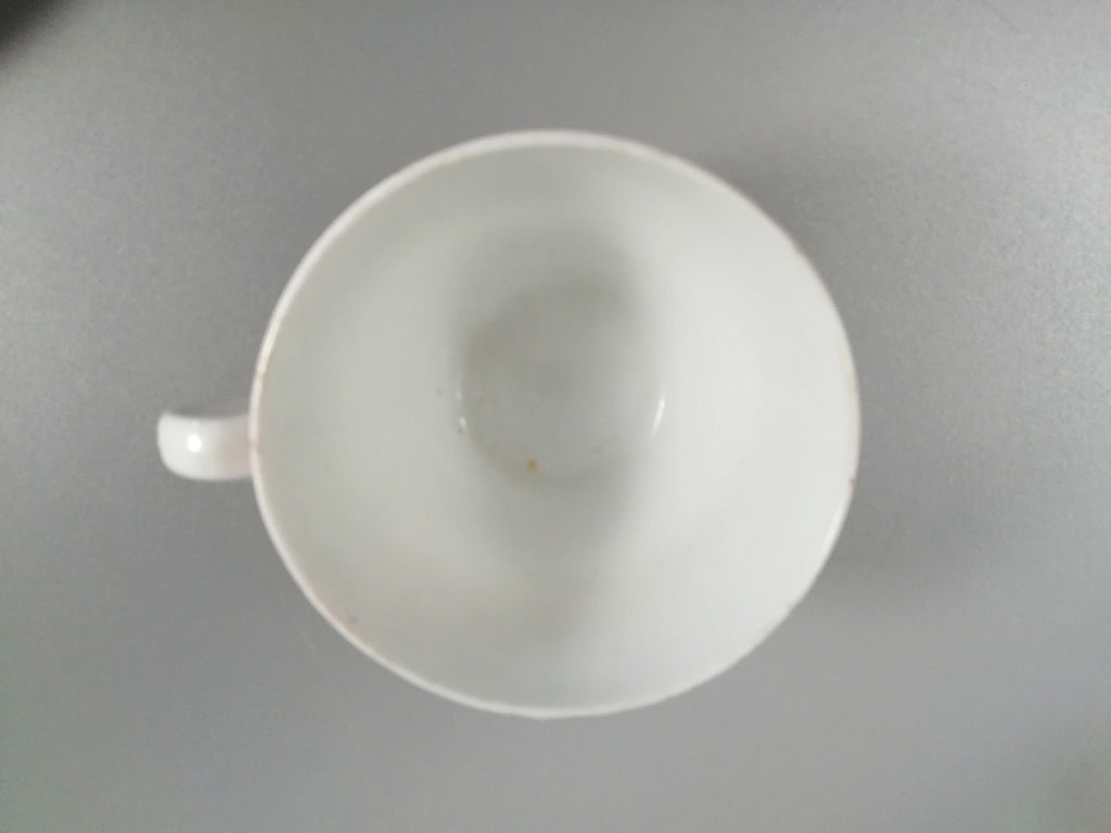 Rare pattern Crazy Cow, silver lustre teacup and saucer