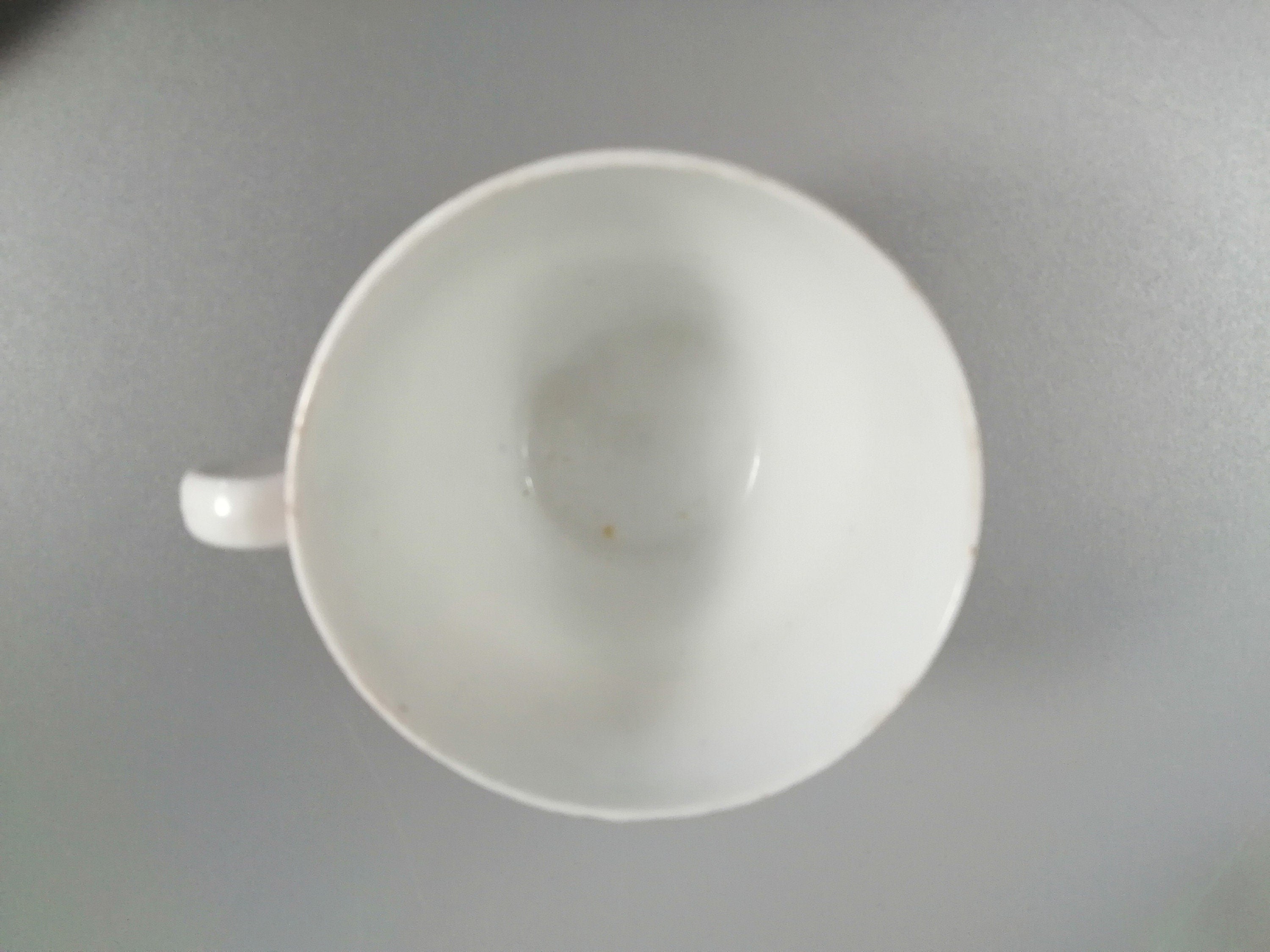 Rare pattern Crazy Cow, silver lustre teacup and saucer