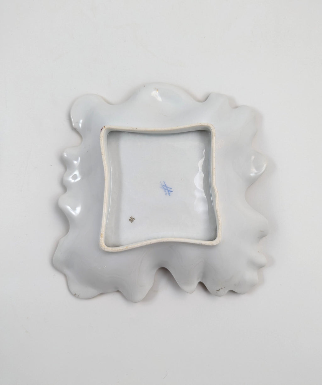 Antique Porcelain Plates from Plaue Schierholz, Germany, c. 1875
