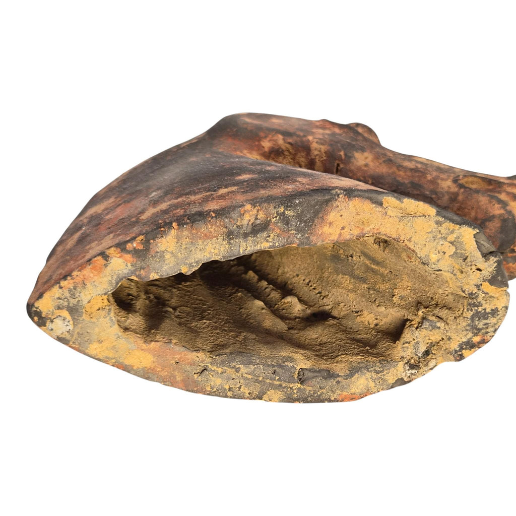 Chinese Han Dynasty Type Painted Terracotta Horse Head, Mingqi Tomb Figure