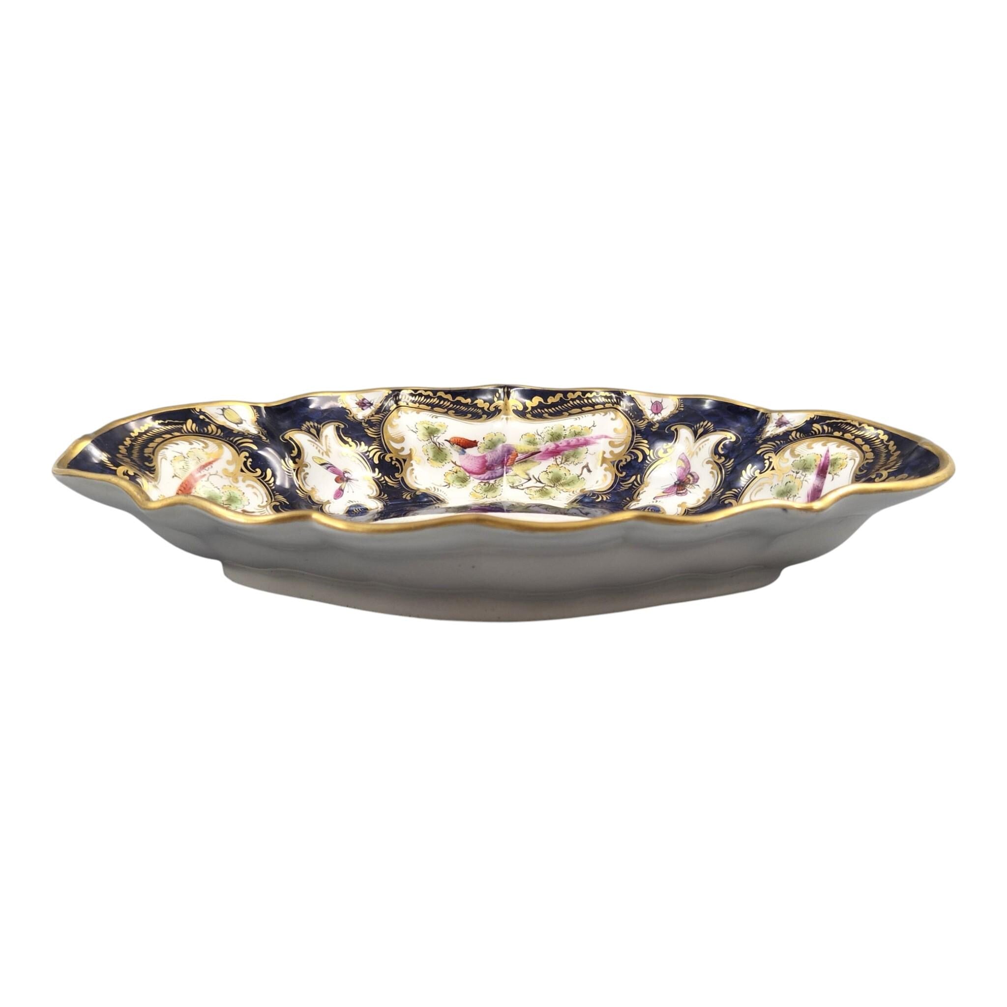 Royal Worcester Blue Scale Dessert Dish, Exotic Birds & Insects, 1901
