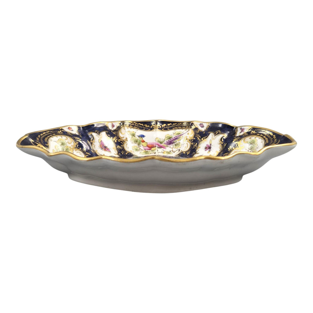 Royal Worcester Blue Scale Dessert Dish, Exotic Birds & Insects, 1901