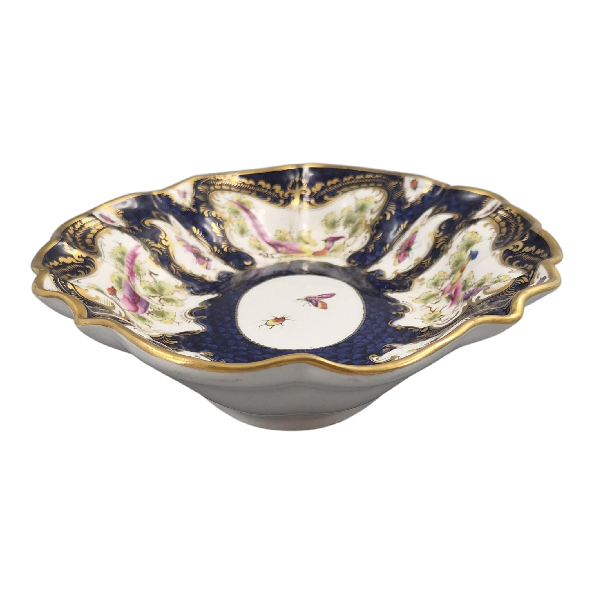Royal Worcester Blue Scale Dessert Dish, Exotic Birds & Insects, 1901
