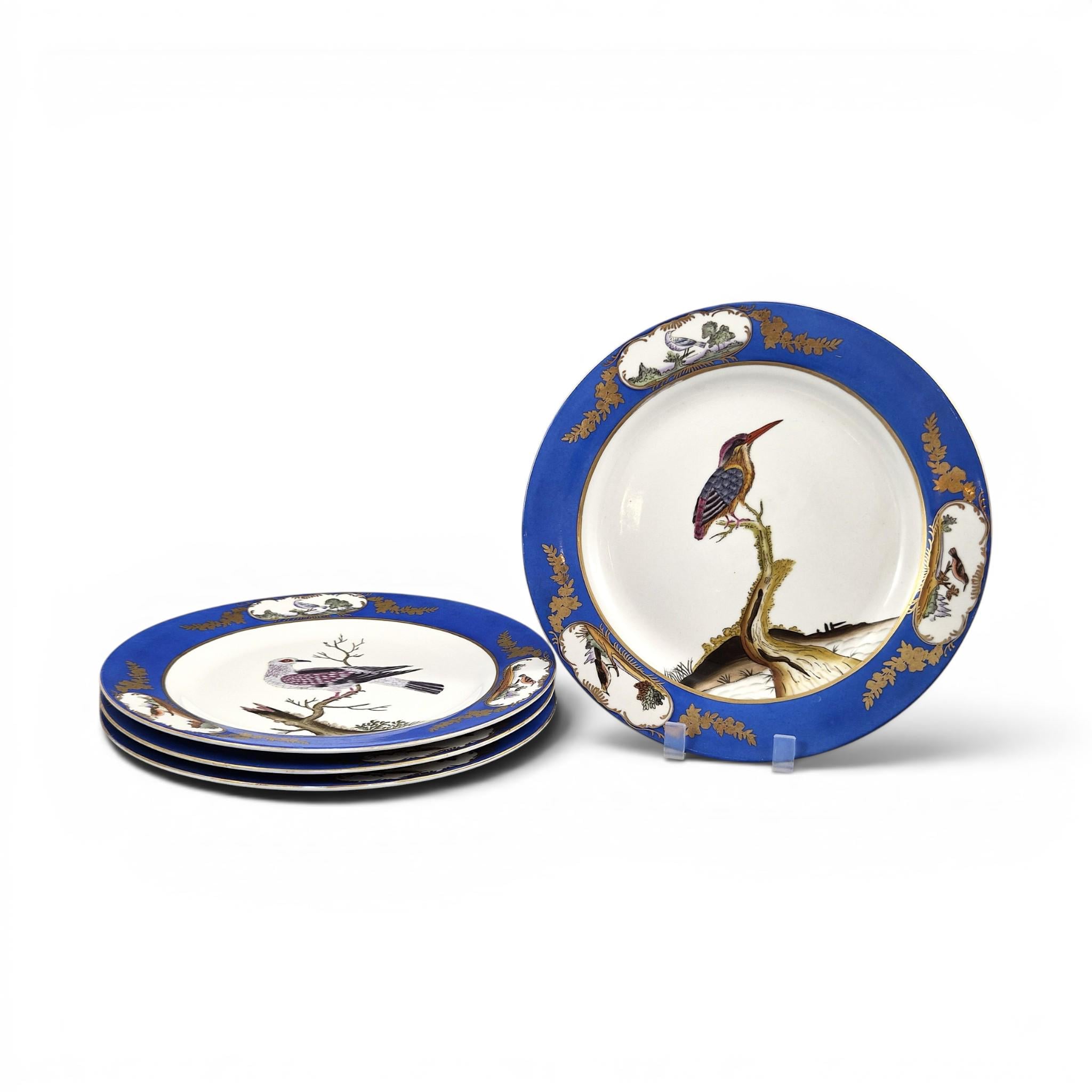Chelsea House royal blue bird display plates set of four exotic bird porcelain wall plates c.1980s