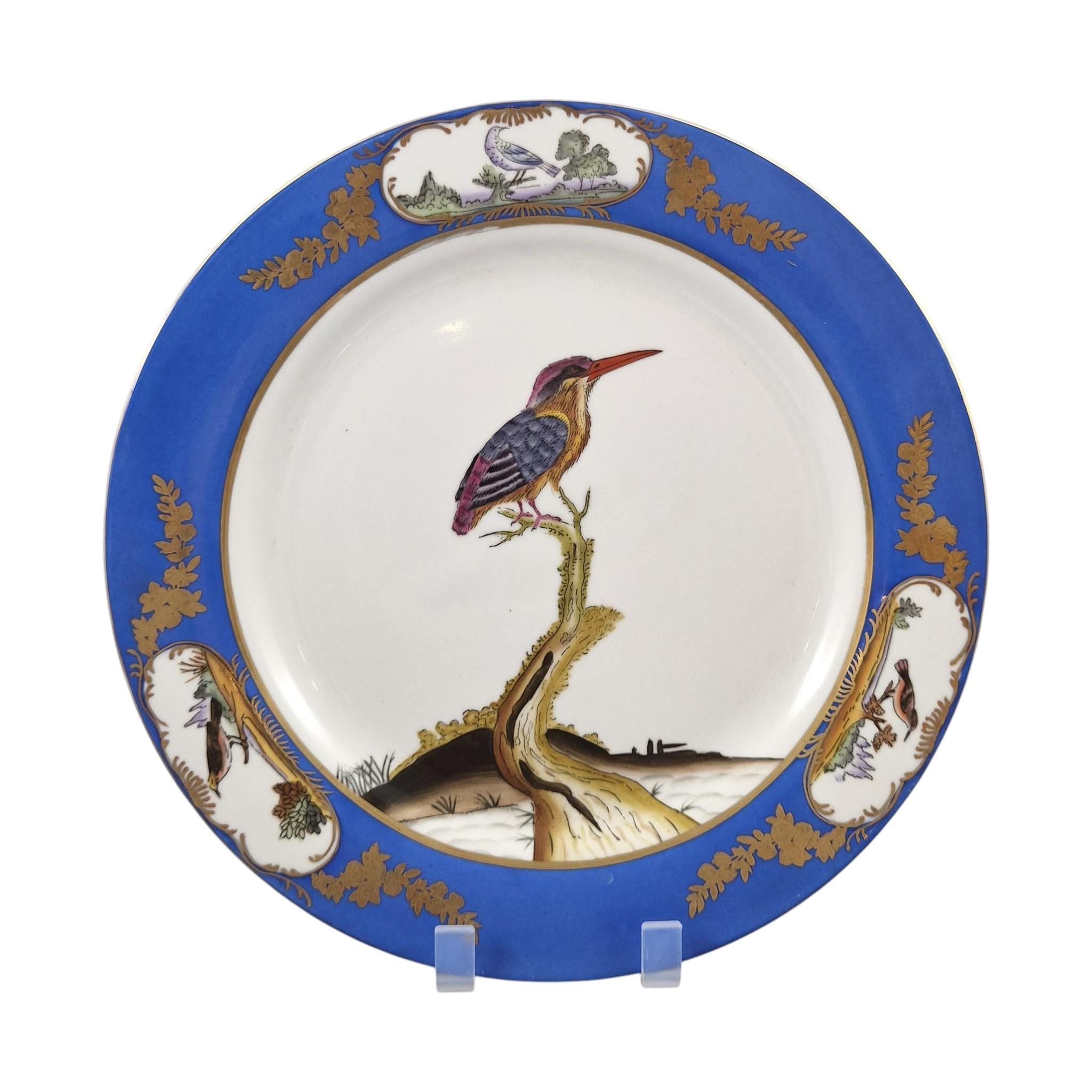 Chelsea House royal blue bird display plates set of four exotic bird porcelain wall plates c.1980s