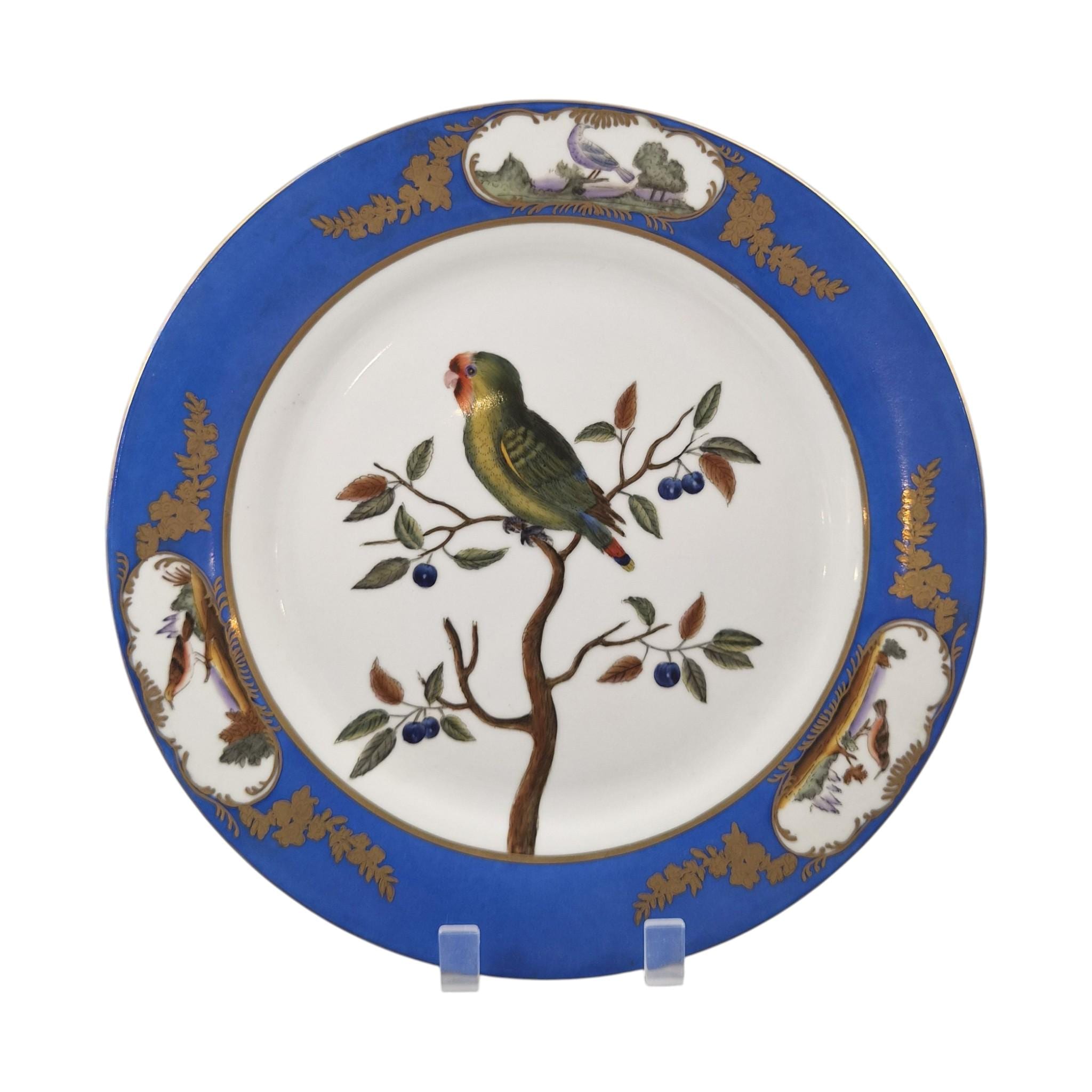 Chelsea House royal blue bird display plates set of four exotic bird porcelain wall plates c.1980s
