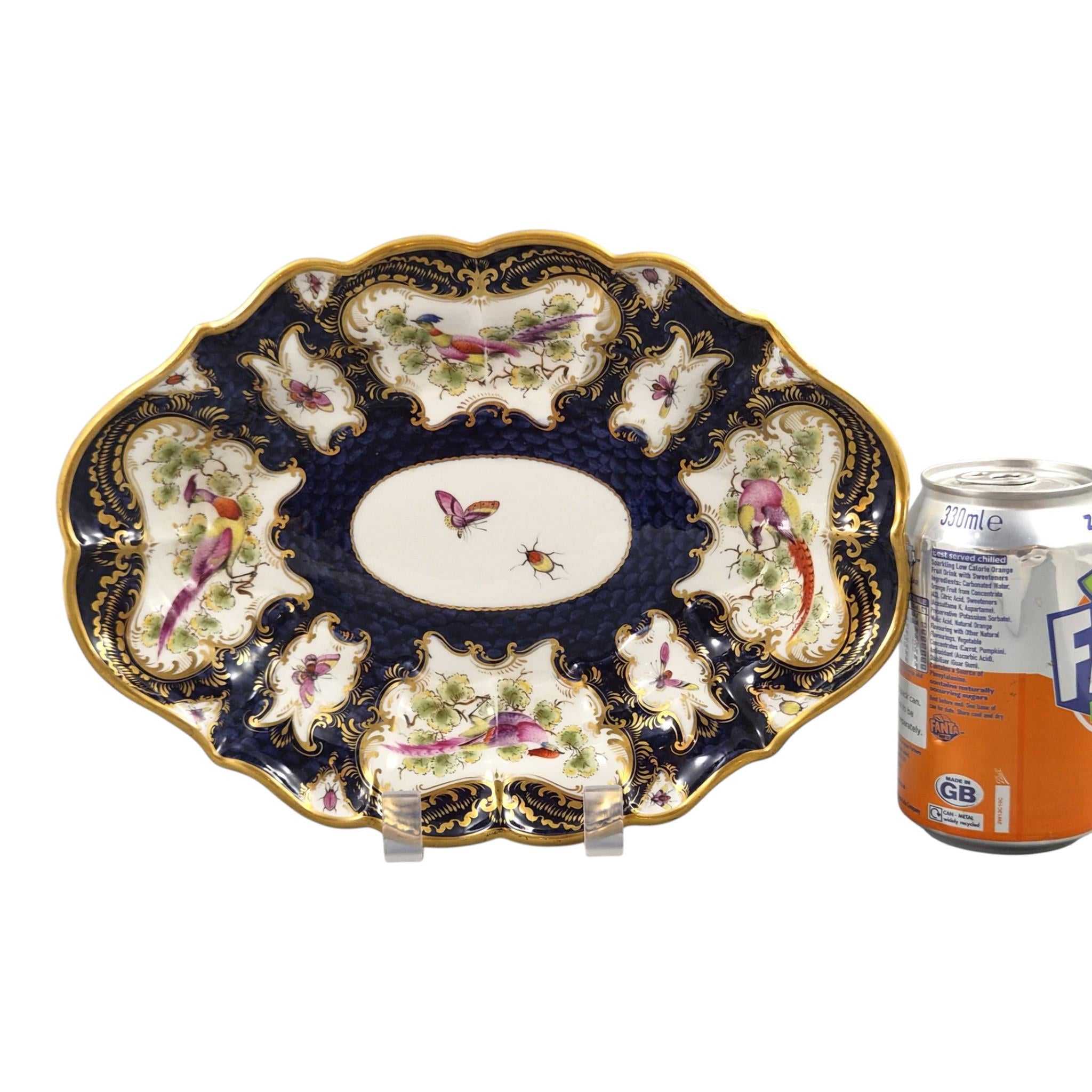 Royal Worcester Blue Scale Dessert Dish, Exotic Birds & Insects, 1901