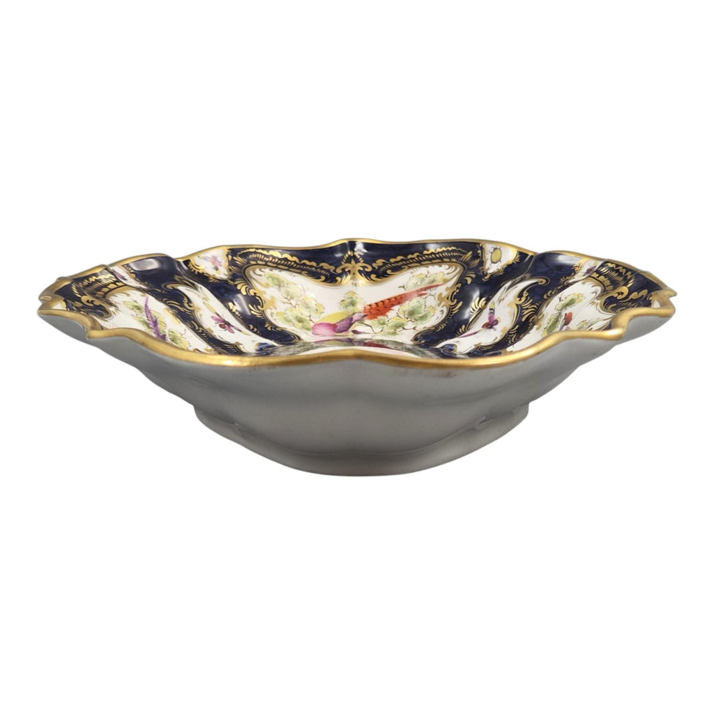 Royal Worcester Blue Scale Dessert Dish, Exotic Birds & Insects, 1901