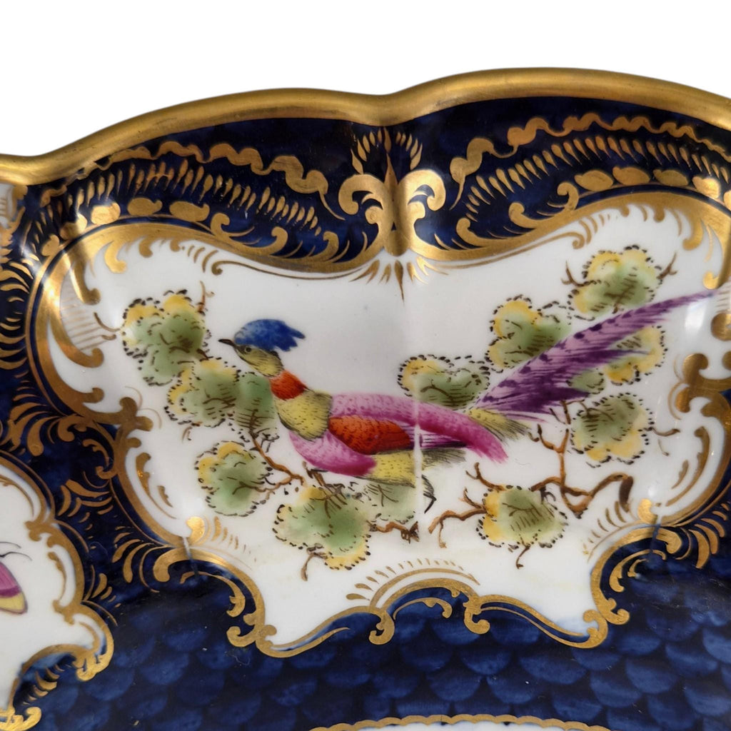 Royal Worcester Blue Scale Dessert Dish, Exotic Birds & Insects, 1901